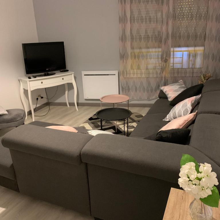 un salon avec un canapé et une télévision dans l'établissement Appartement 4 PERSONNES EMPLACEMENT IDEAL PROCHE DES 24H ET GARE, au Mans
