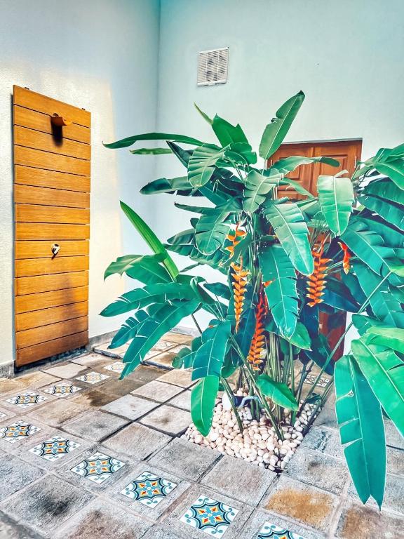 Fotografie z fotogalerie ubytování Villa Lagoonscape v Negombu