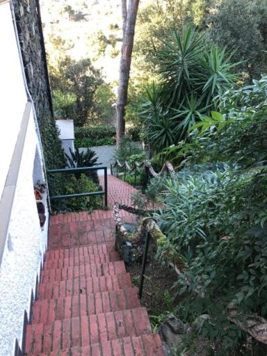 Ogród w obiekcie VILLA MIMOSA Splendida Vista Mare