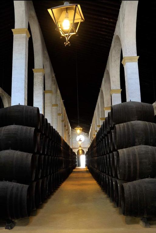 Fotografie z fotogalerie ubytování Sherryflat Herráiz-Parking v destinaci Jerez de la Frontera