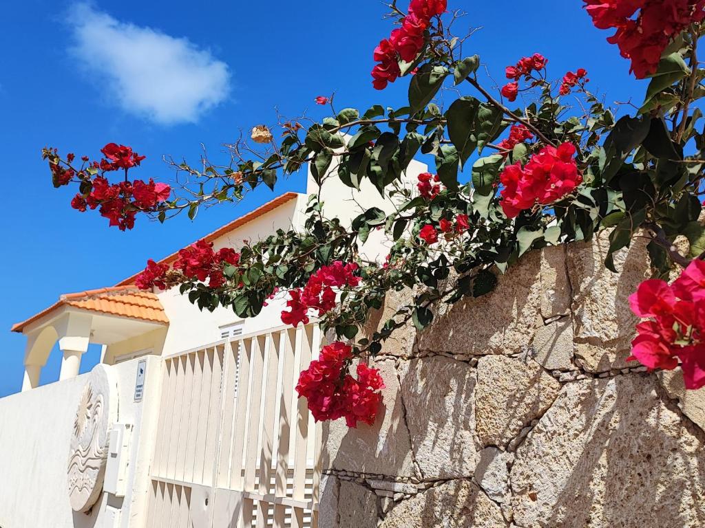 uma cerca branca com flores vermelhas em Casa Djarmai Boutique Apartments em Vila do Maio