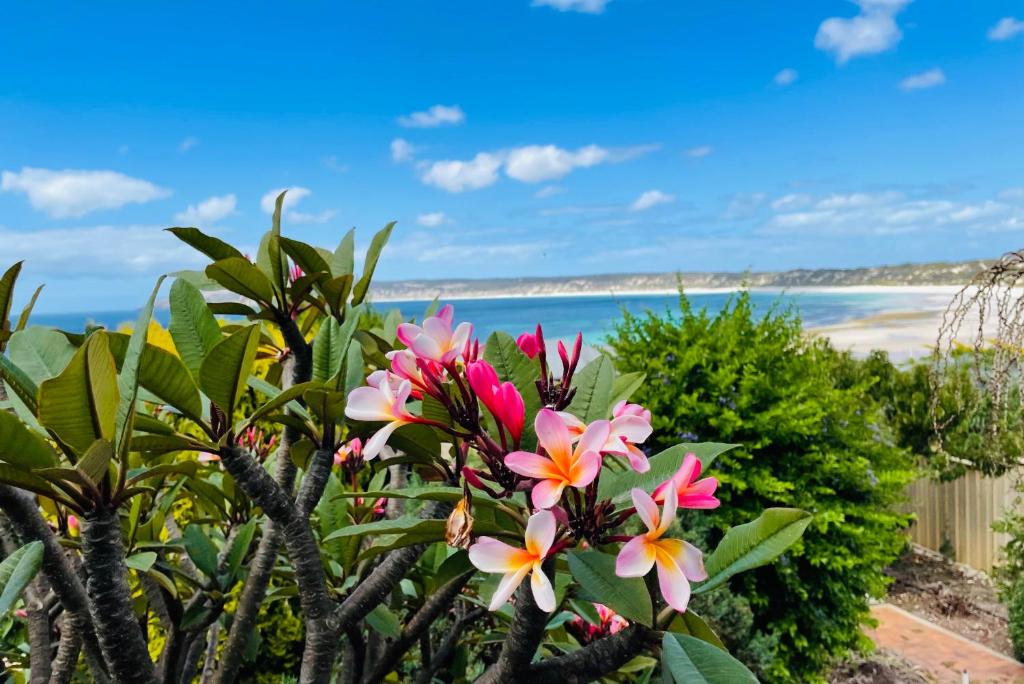 a view of a beach with pink and orange flowers at The Whitehouse in Emu Bay