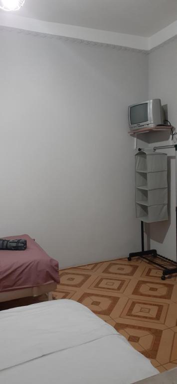 шорена - 