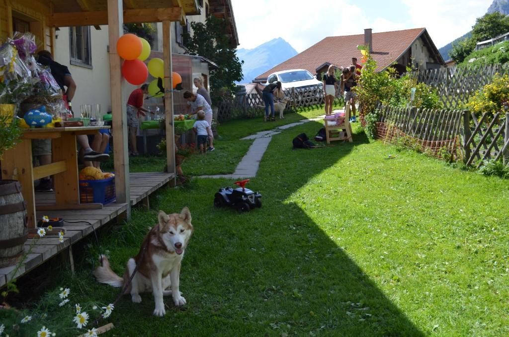 Domácí mazlíčci ubytovaní s hosty v ubytování Bio Yak Hof Heinz