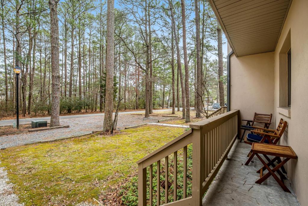 Are Dogs Allowed At Bethany Pond