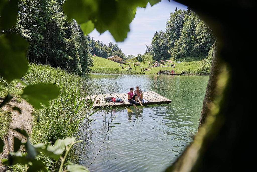 Príroda v okolí horskej chaty