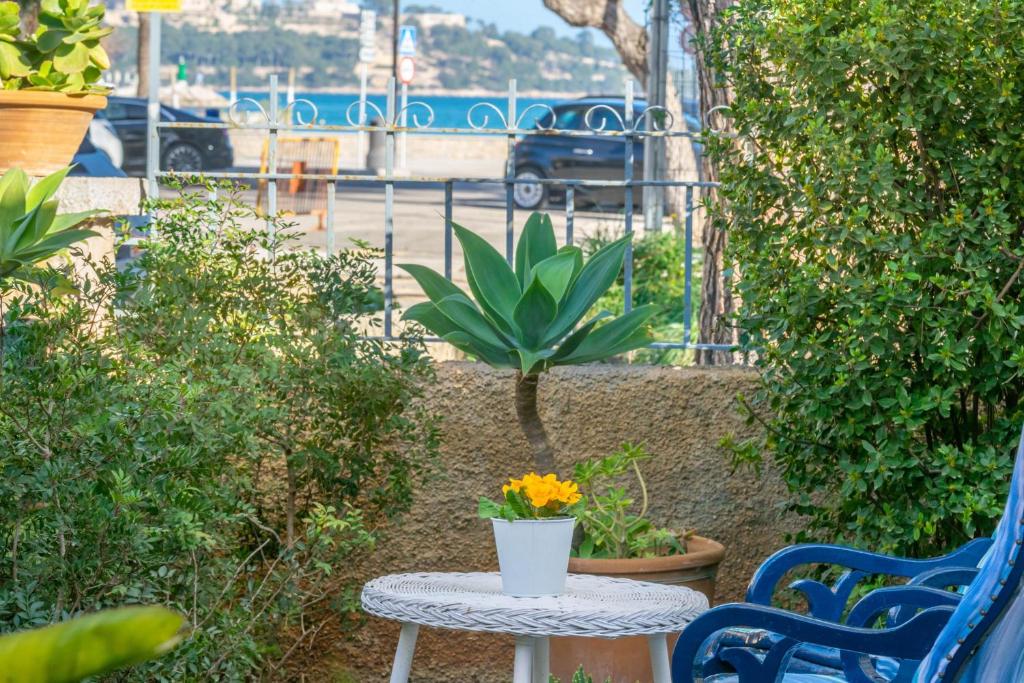 a table with a potted plant and two blue chairs at Villa Casa Beltran in Port de Pollensa