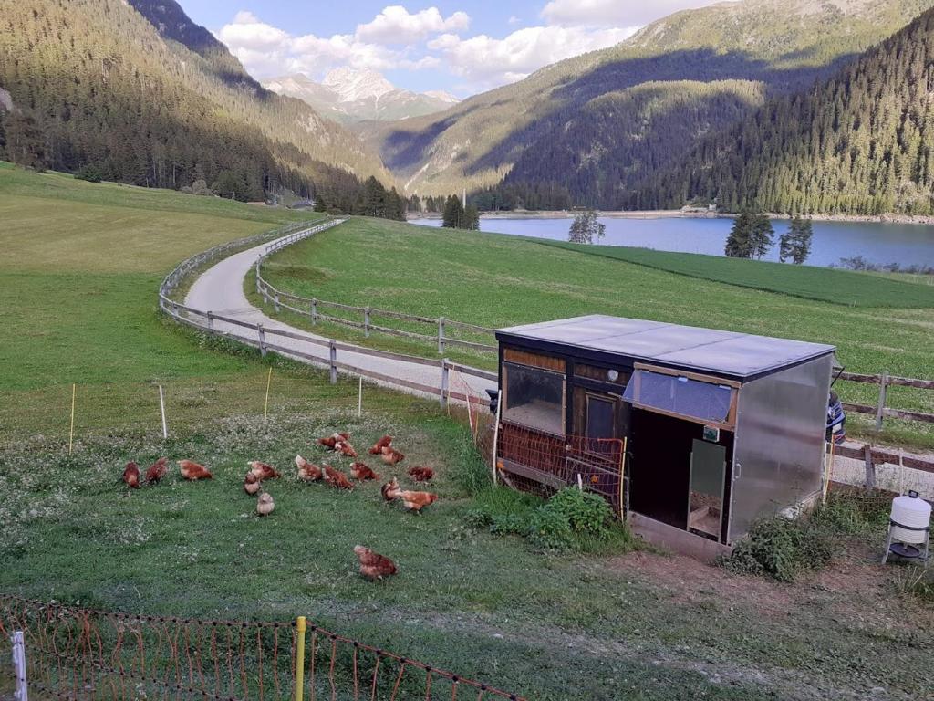 Příroda nedaleko apartmánu