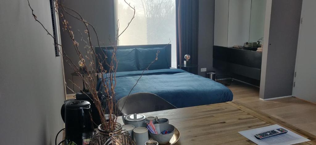 Bed & Wellness Boxtel, luxe kamer met airco en eigen badkamer في بوكستيل: غرفة نوم بسرير ازرق ونافذة