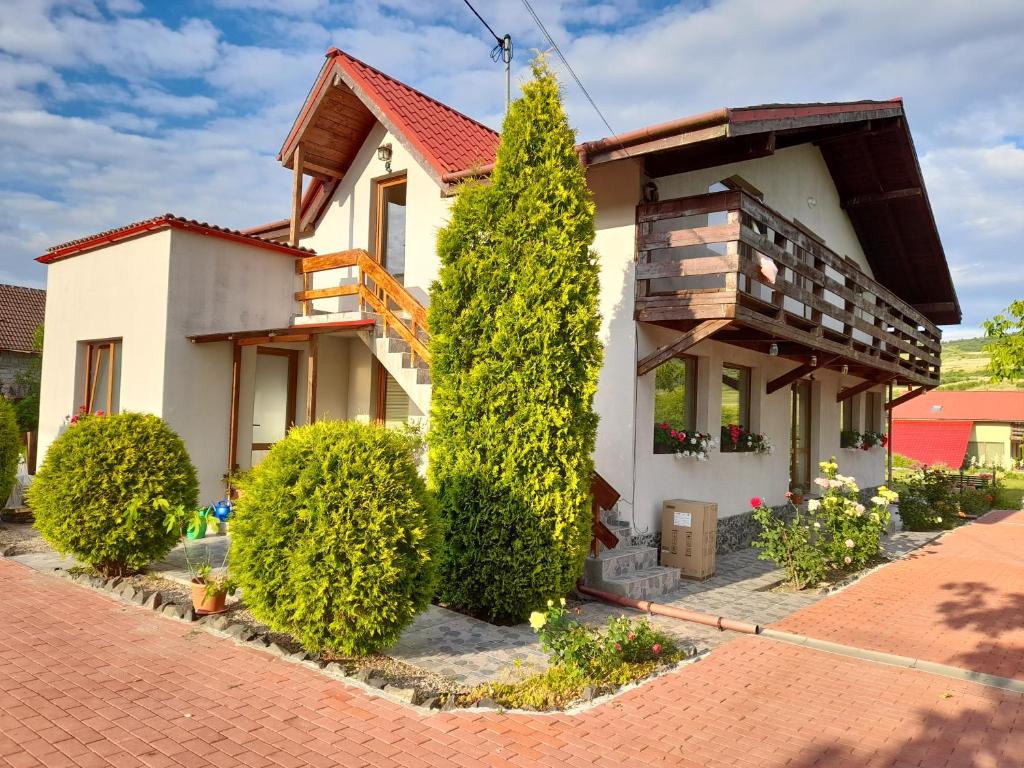 a house with trees and bushes at Casa cu flori in Bîrsău