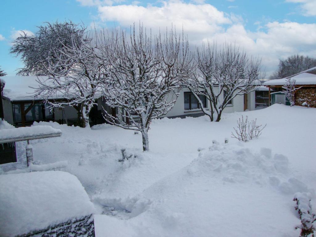 een tuin bedekt met sneeuw met bomen en huizen bij Holiday Home Schneider by Interhome in Geschwenda