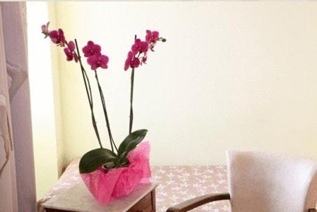 a pink vase with flowers in it on a table at Logis Hotel Le Clos Des Oliviers in Bourg-Saint-Andéol