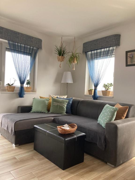 sala de estar con sofá gris y cortinas azules en Libellula Apartman Hévíz, en Hévíz