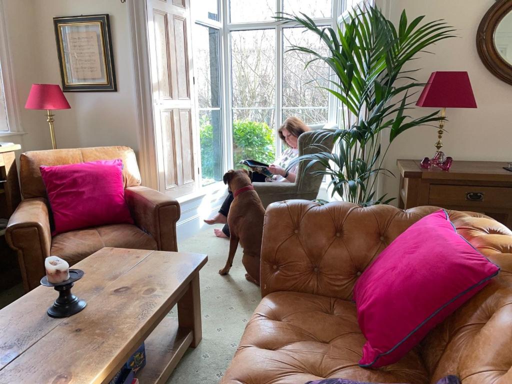 a woman in a living room with a dog looking out the window at Sheriff Lodge in Matlock