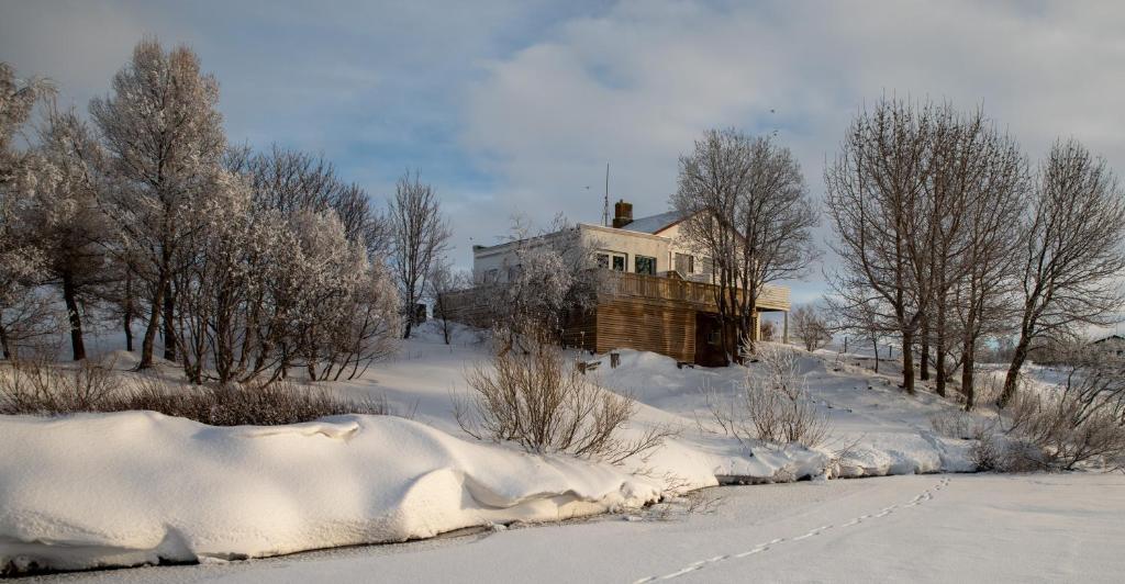 una casa en la nieve al lado de una carretera en Myvo The Studio apartment at Geiteyjarströnd 4, en Reykjahlíð