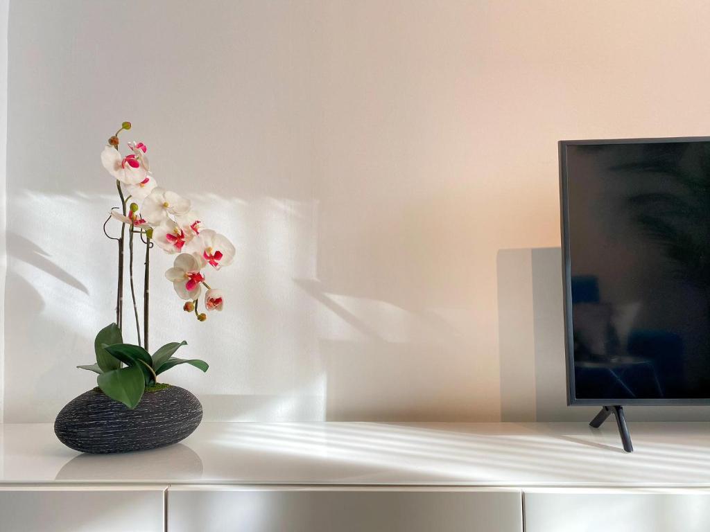 A television and/or entertainment centre at iloftmalaga Plaza Marina