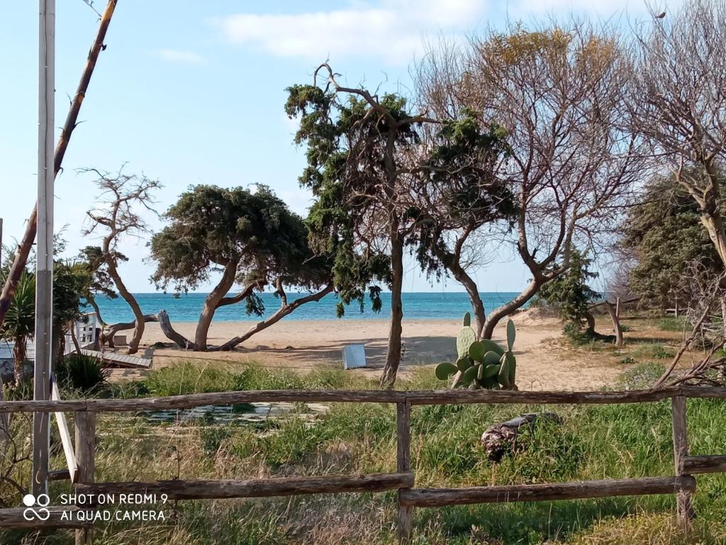 una recinzione accanto a una spiaggia con alberi e l'oceano di Residence Poseidon a Lido Marini