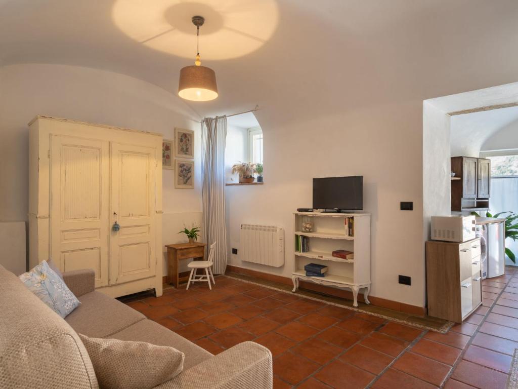 salon z kanapą i telewizorem w obiekcie Apartment Adelasia by Interhome w mieście Cisano sul Neva