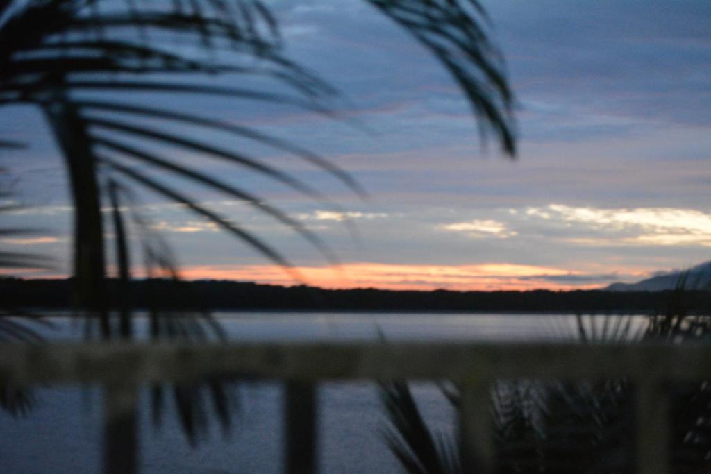 un coucher de soleil sur une étendue d'eau avec un palmier dans l'établissement Camping Mirante dos Golfinhos, à Cananéia