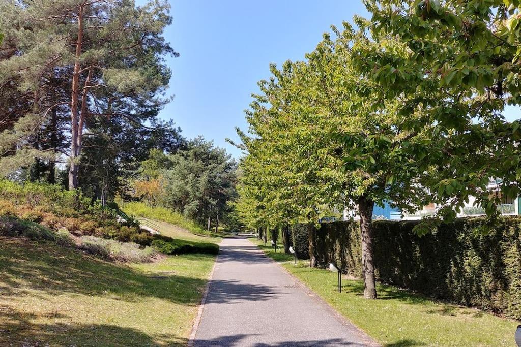 Příroda nedaleko apartmánu