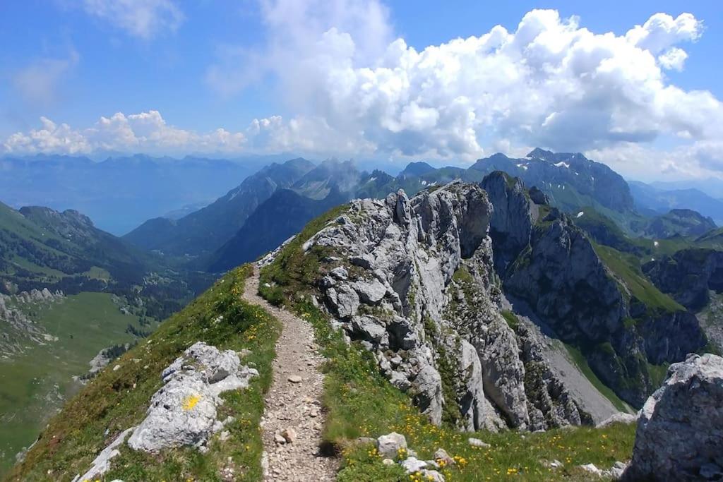 Příroda nedaleko apartmánu