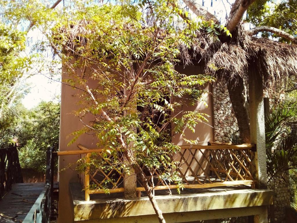 a small tree sitting on a wooden porch at Hotel Boutique Refugio 41 in Valladolid