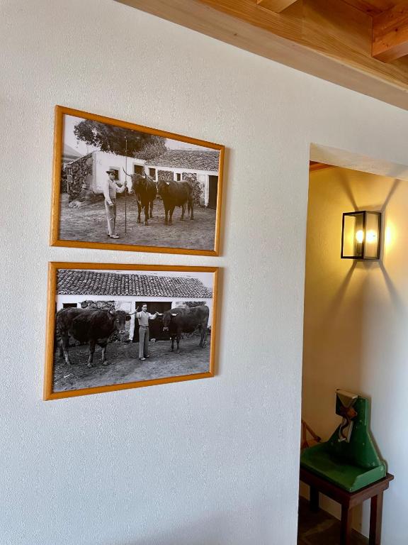 Fotografie z fotogalerie ubytování Casa do Avô José Alves v destinaci Praia da Vitória
