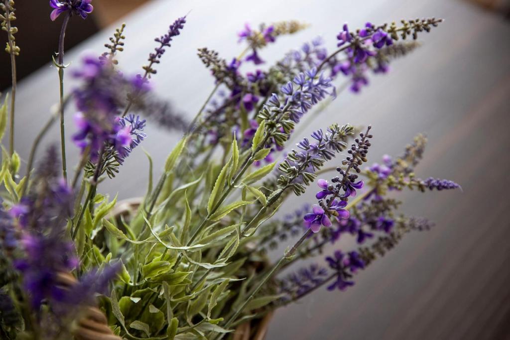 Corte Francigena - 3