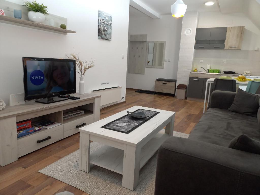 TV a/nebo společenská místnost v ubytování Apartman Tanja