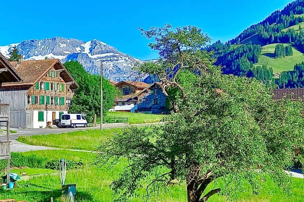 Příroda nedaleko apartmánu
