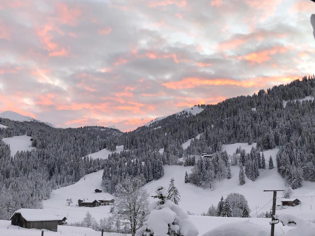 Gemütliche Ferienwohnung im Berner Oberland v zimě