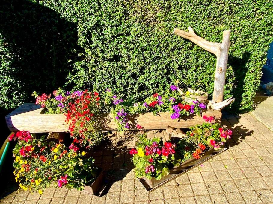 Zahrada ubytování Gemütliche Ferienwohnung im Berner Oberland