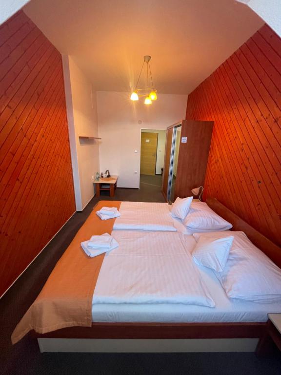 Hotel Skicentrum - 1