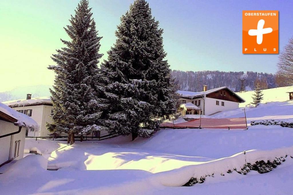 two christmas trees in a yard covered in snow at Appartement Nr 19, Alpenappartementhaus, Oberstaufen-Steibis, Allgäu in Oberstaufen