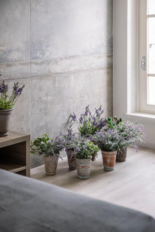 Corte Francigena - 16