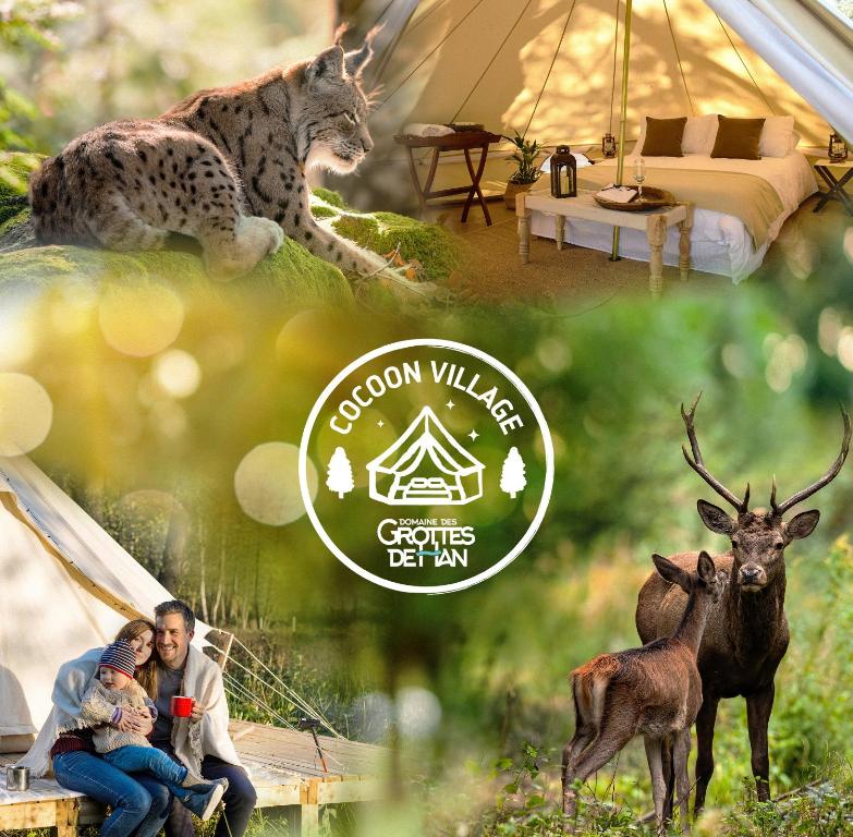 um homem segurando um bebê na frente de uma tenda em Cocoon Village - Glamping - Domaine des Grottes de Han em Rochefort