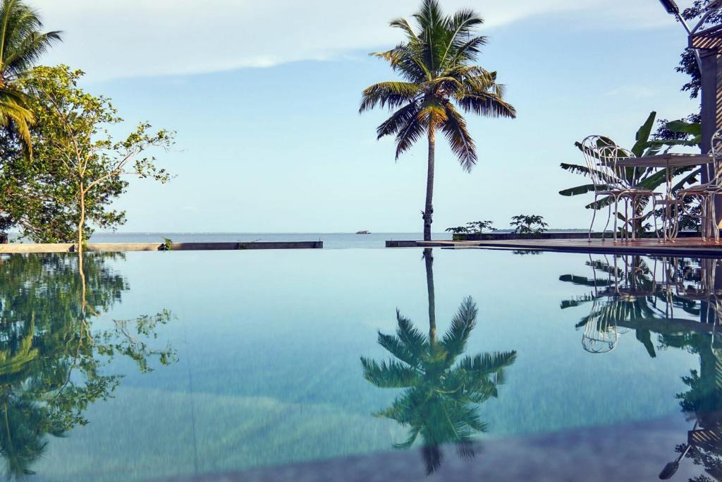 クマラコムにあるHibiscus Earth Private Pool Villa A CGH Earth SAHA Experienceのヤシの木と海を背景にしたプール