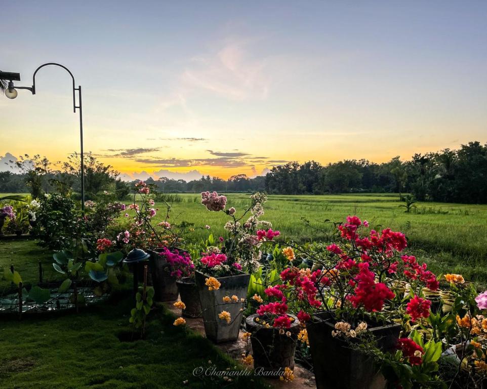 Mailagama Cinnamon Residence - 8