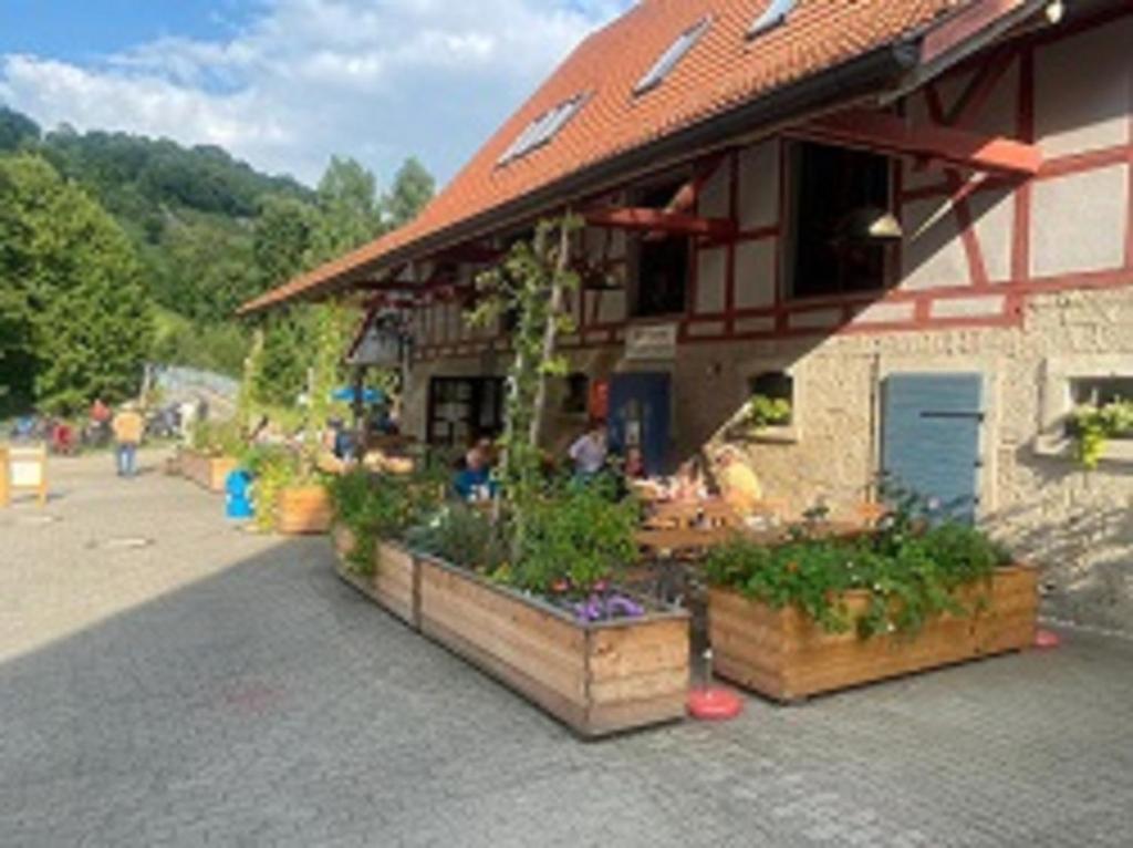 un edificio con algunas plantas delante de él en Gasthaus Holdermühle, en Creglingen