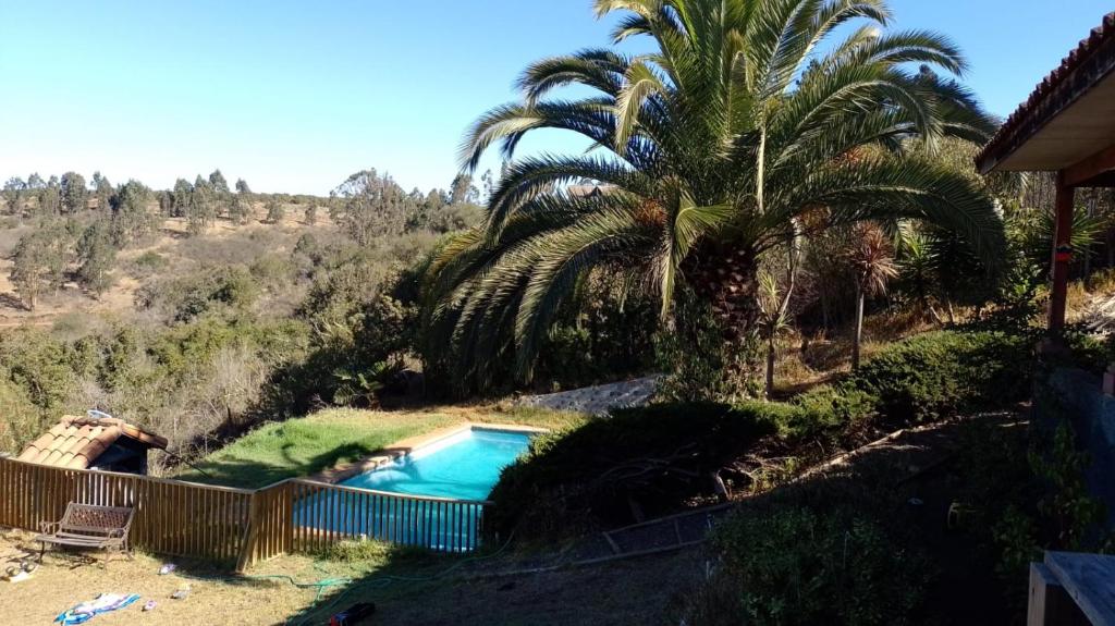 a swimming pool with a palm tree next to a house at La Casa de la Nueva Poesía in Santo Domingo