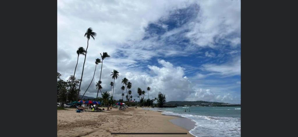 a beach with palm trees and the ocean on a cloudy day at 7 bedrooms in San Juan La Placita Santurce By RentalsPR in San Juan