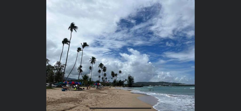 a beach with palm trees and the ocean on a cloudy day at 7 bedrooms in Santurce San Juan beach in San Juan