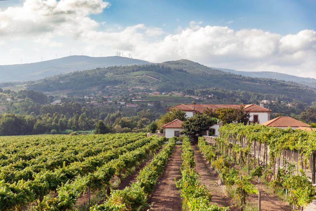 a vineyard in the hills with houses and mountains in the background at Hotel Rural Reguengo de Melgaço in Melgaço