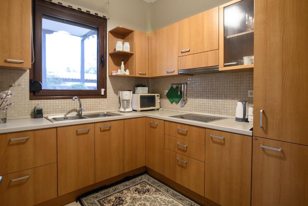 Kuchyň nebo kuchyňský kout v ubytování Villa Belvedere