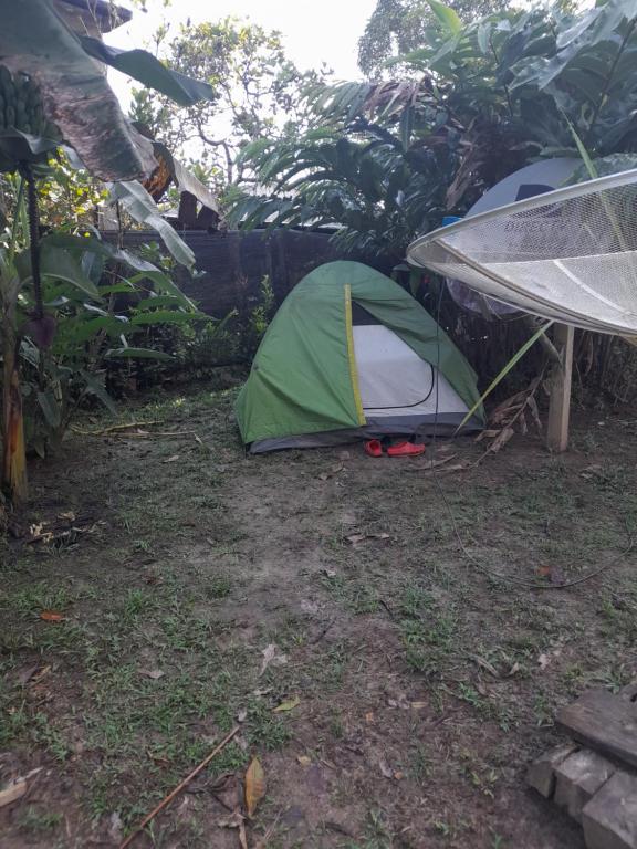 a green and white tent sitting in the grass at Xingú Camping Site in Leticia