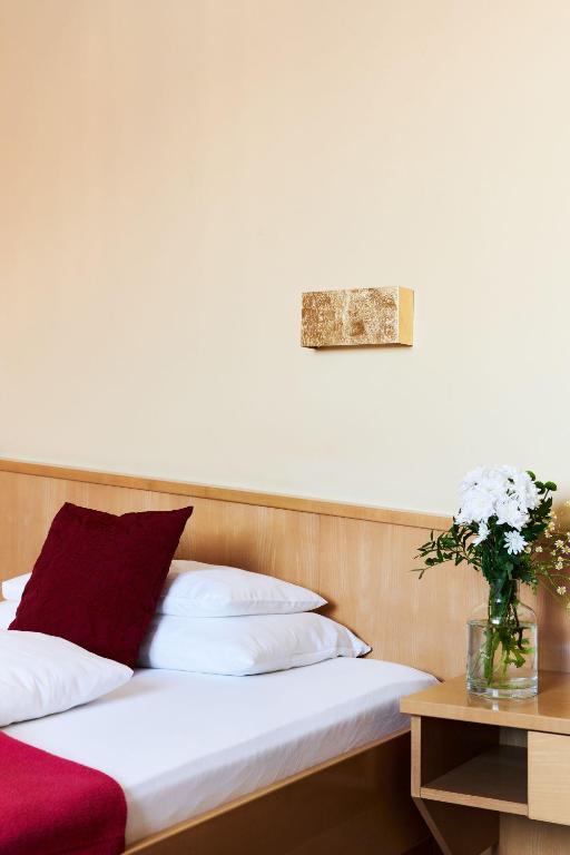 Hotel Garni Thermenoase - Single Room With Air Condition