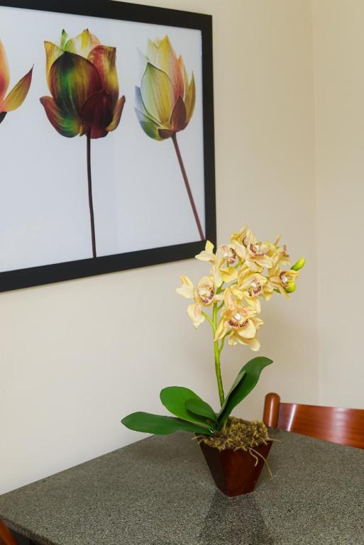 Fotografie z fotogalerie ubytování Hotel Luma v destinaci Itaguaí
