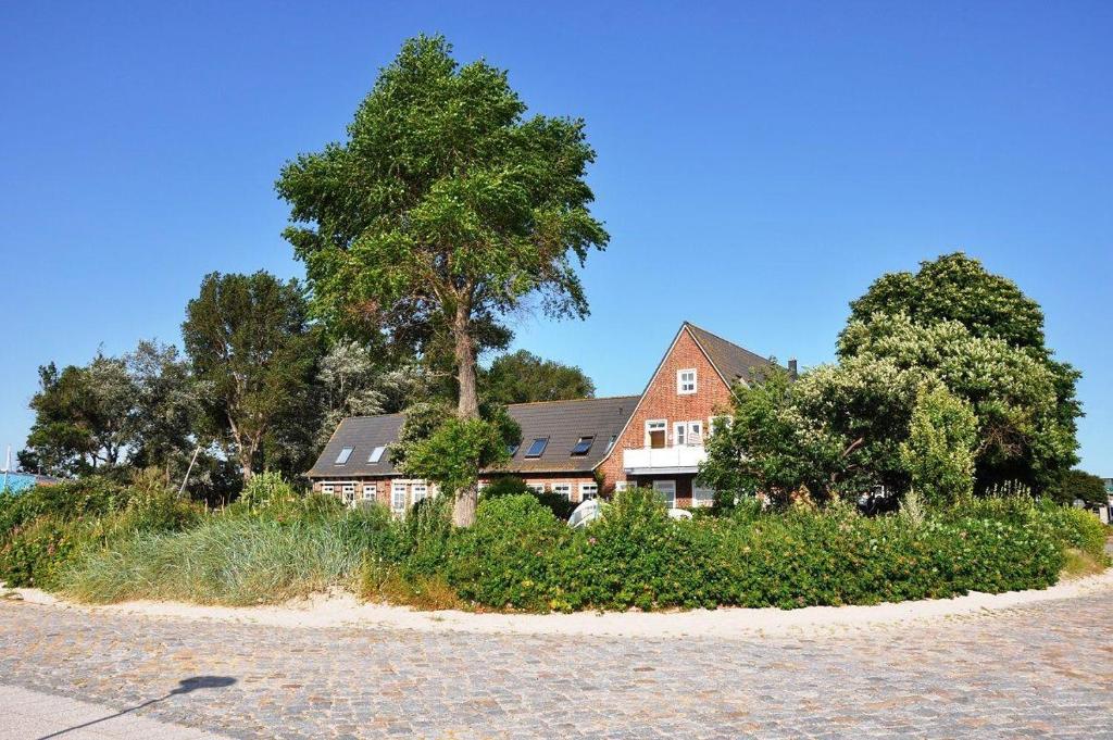 uma casa com uma árvore em frente em Haus-El-Mar-Wohnung-H-Beachlove em Grossenbrode