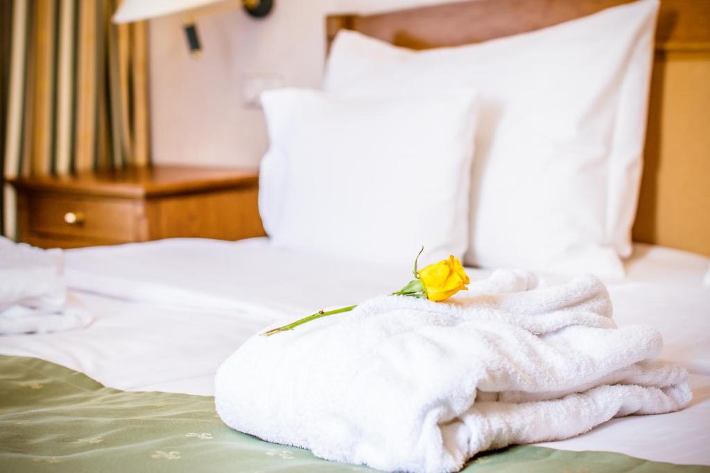 Hotel Dvorak Cesky Krumlov - Resim 9