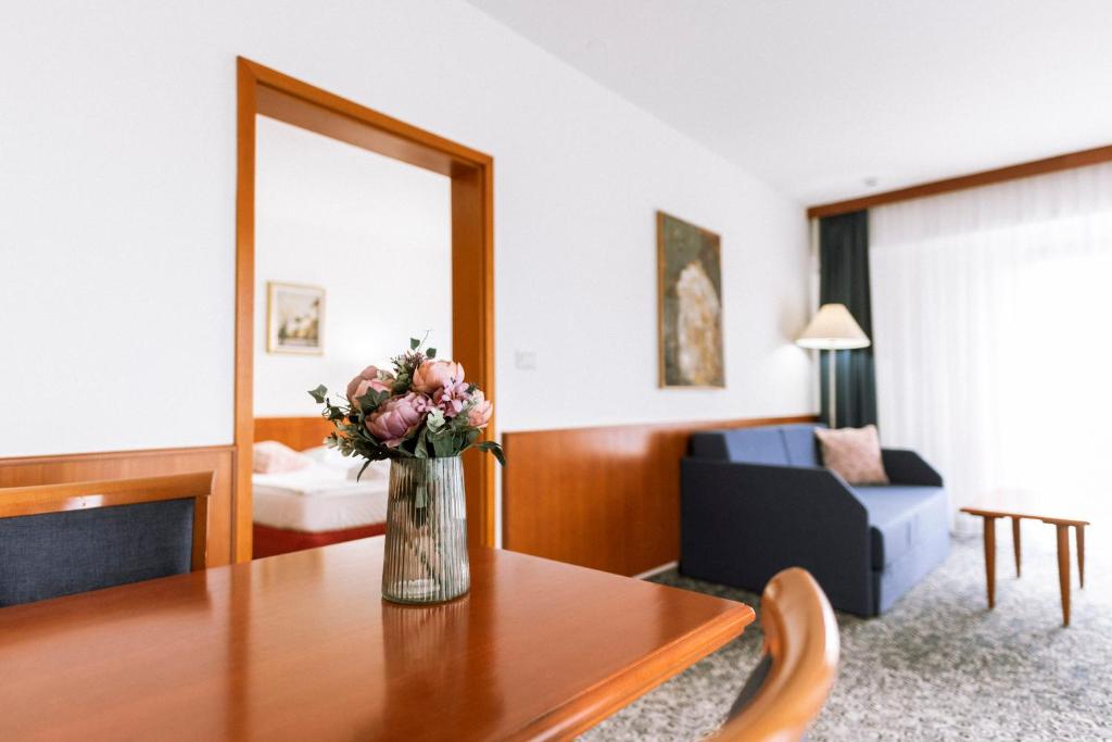 Posezení v ubytování Hotel Toplice - Terme Čatež